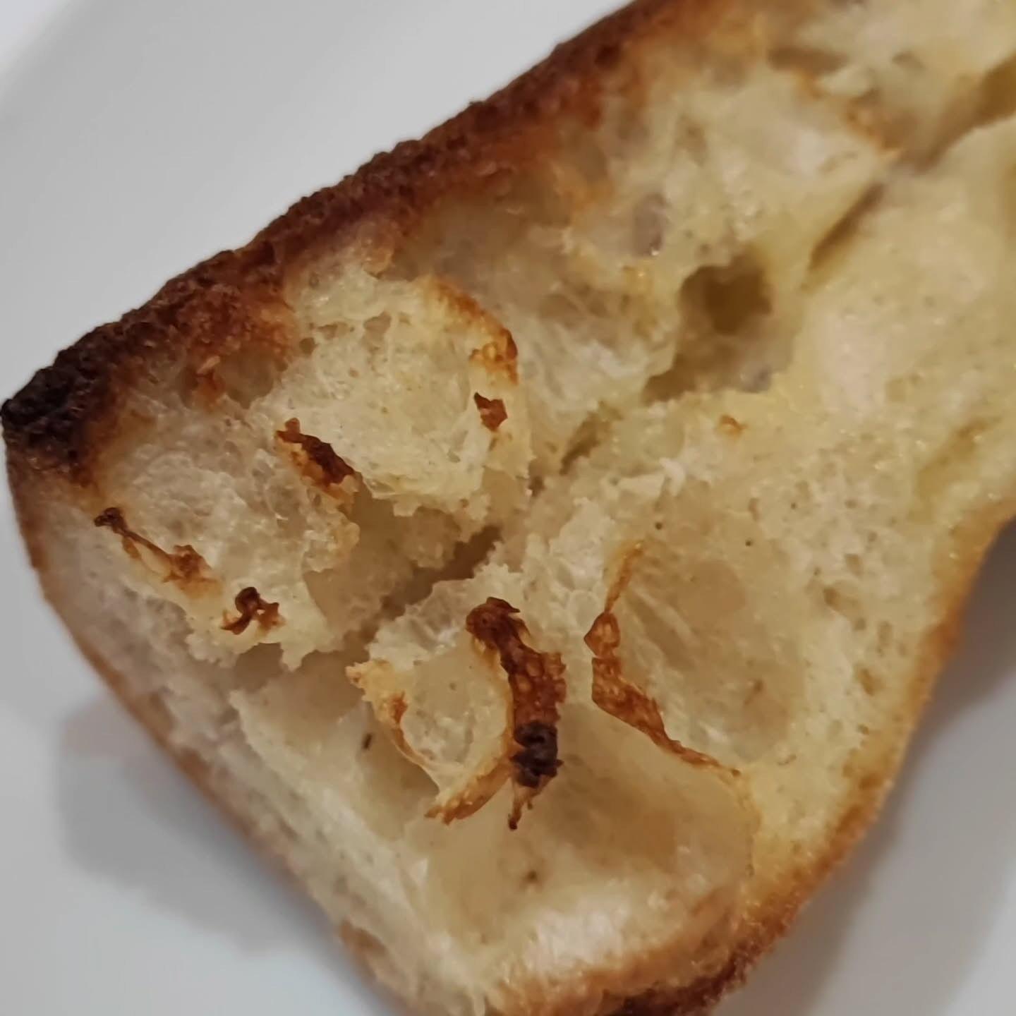試してみて欲しい！✨フレンチベーカリーの定番「バケット」