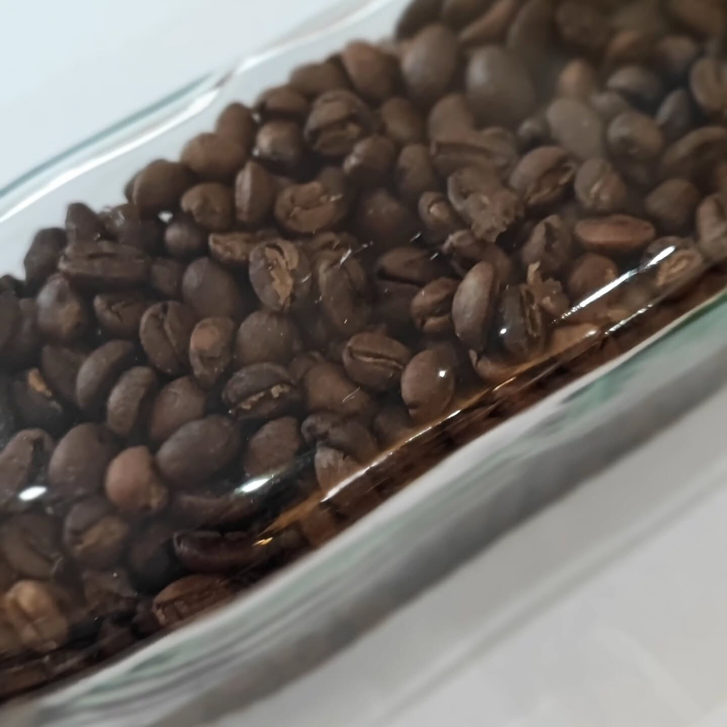 ☕🌟 目覚めから元気いっぱい！スペシャリティコーヒー「ネロオ